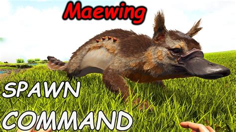 This command spawns the creature with the specified entity ID and level in front of your character. . Ark maewing spawn command